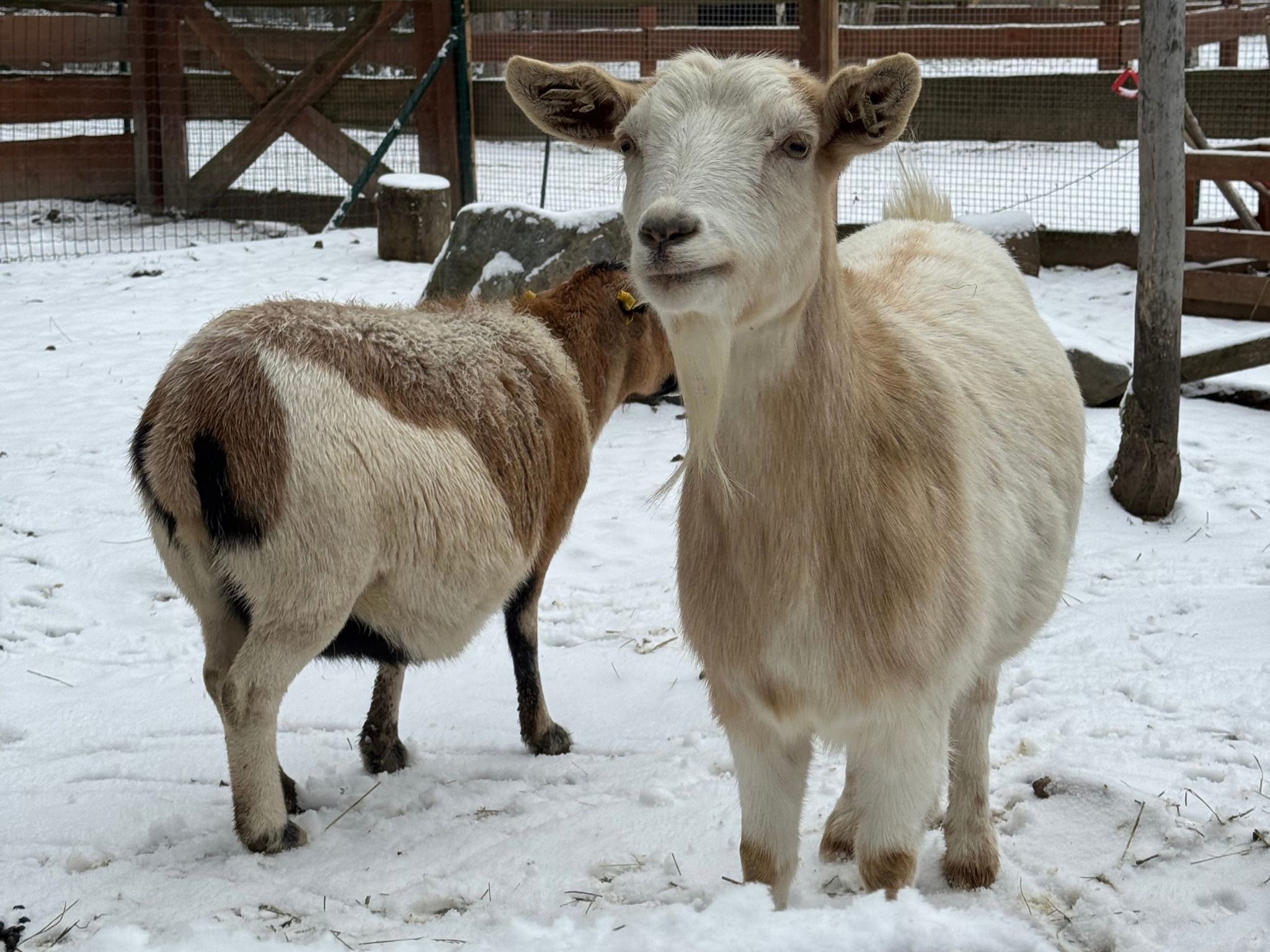 Návrh bez názvu (4)